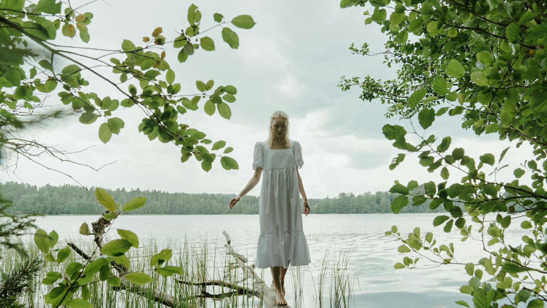 Serene landscape with soft light, evoking a sense of calm and balance.